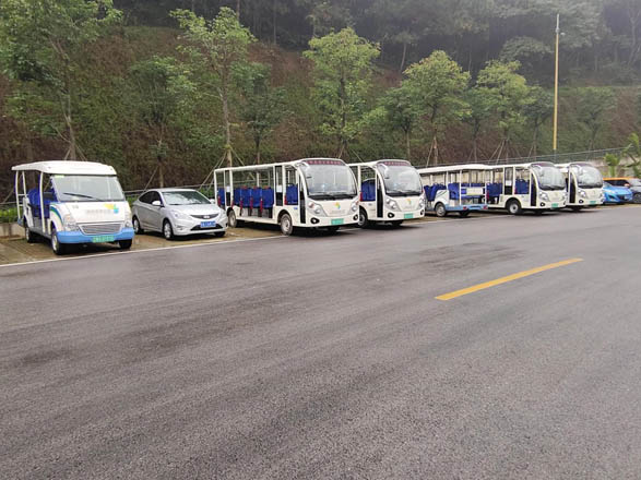 广西·高峰森林公园观光车案例图片