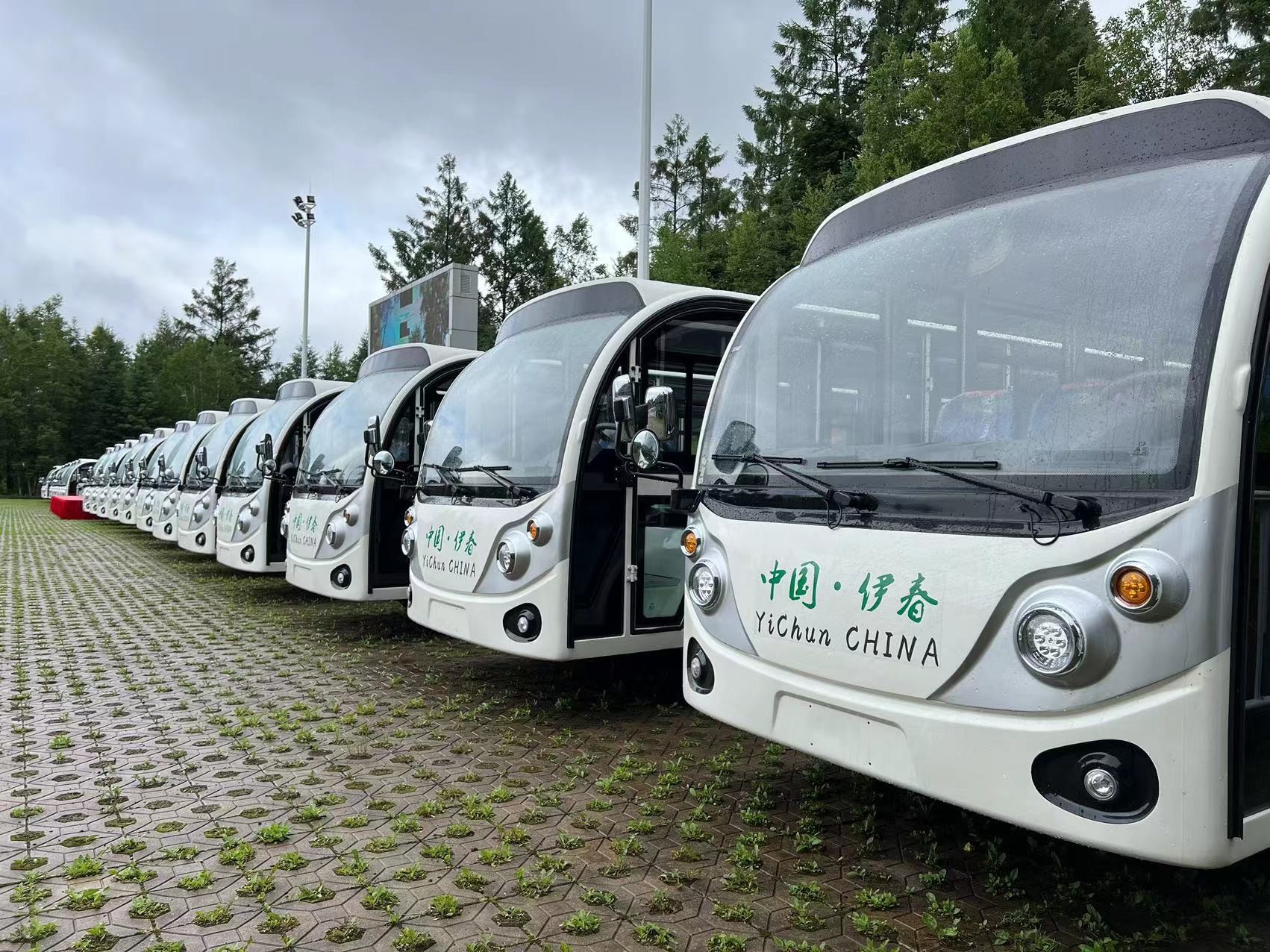 电动观光车 电动观光车