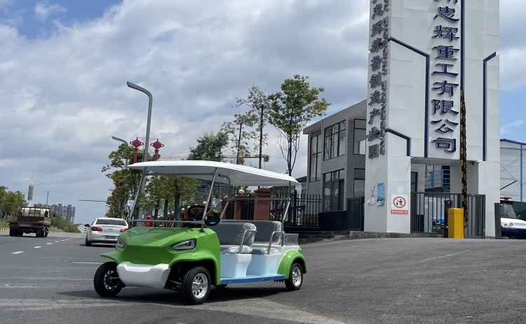 贵州忠辉4座电动游园代步车——青蛙